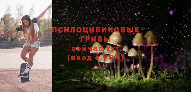 Псилоцибиновые грибы Psilocybine cubensis  mega ссылка  Ангарск 